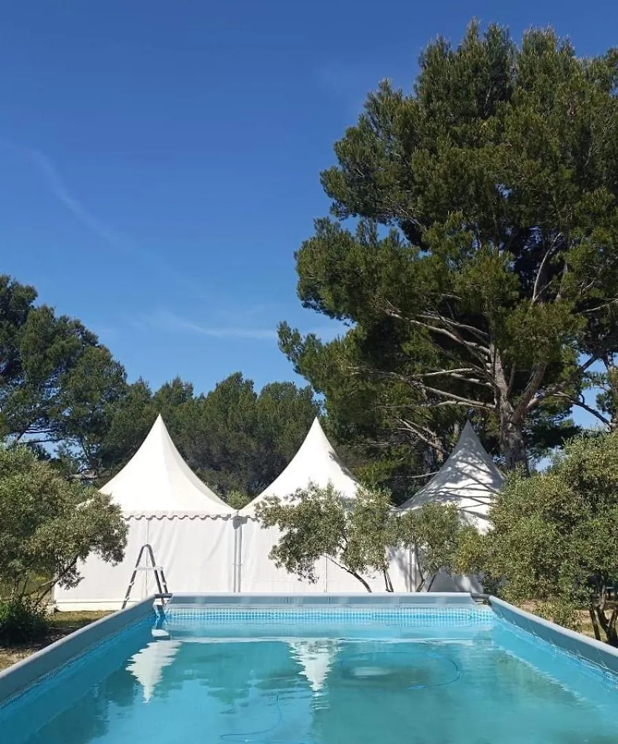 Apartament La Cayon Au Coeur Des Oliviers En Provence Pélissanne